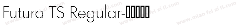 Futura TS Regular字体转换